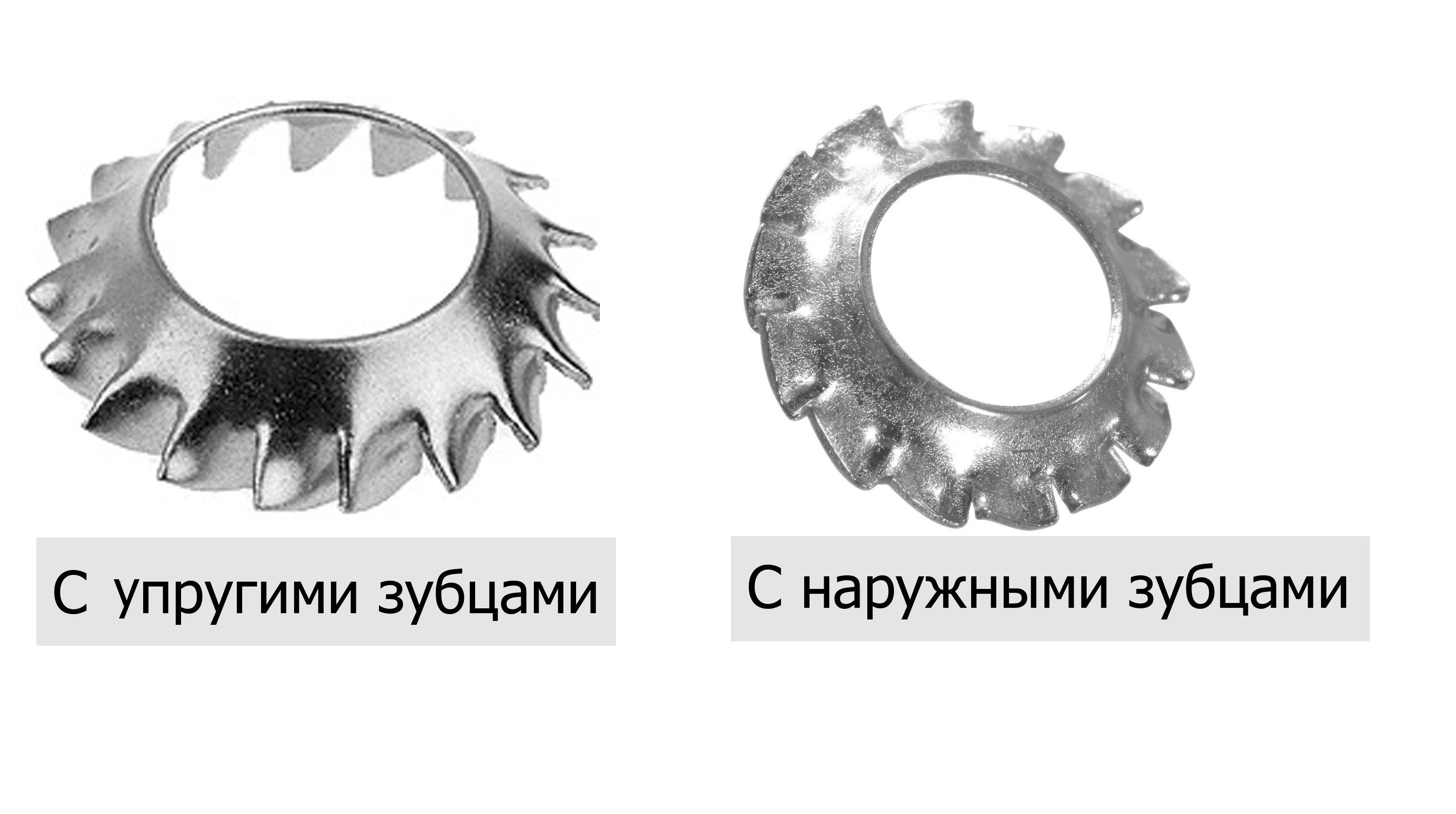 Шайба стопорная чертеж